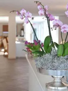 Myminga13 - Hotel & Serviced Apartments München